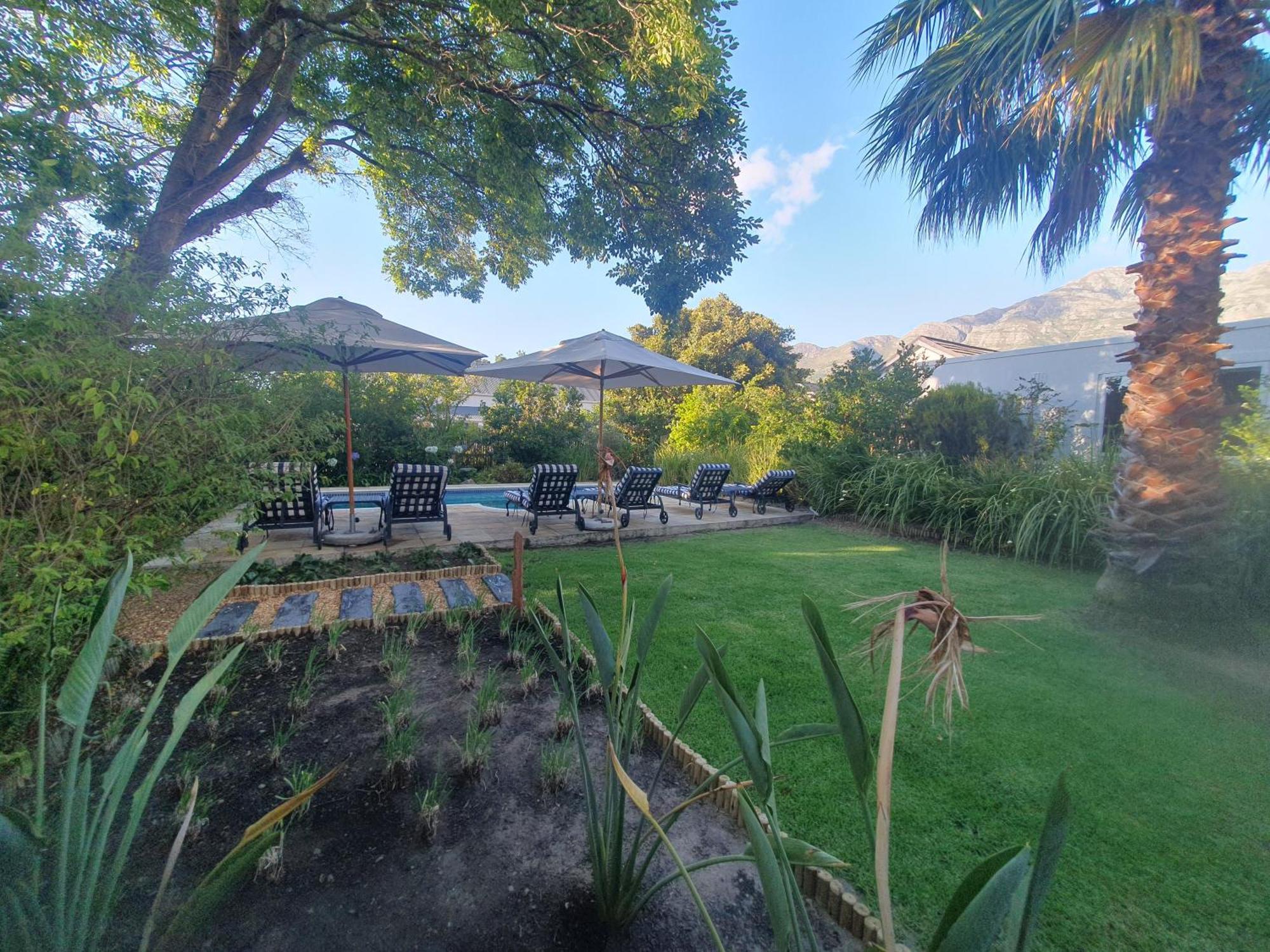 Petit Ermitage Bed & Breakfast Franschhoek Dış mekan fotoğraf